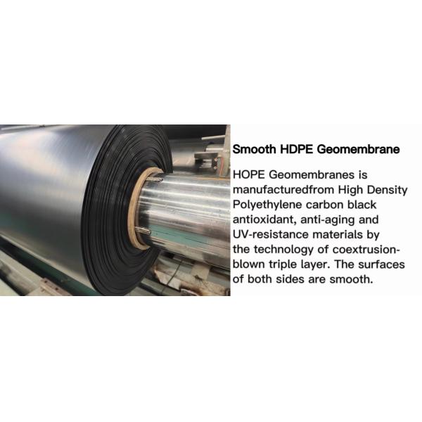 Geomembranes in Industrial Design Style for Easy Installation Pond and Dam Liners