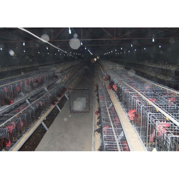 breeder chicken cage A Frame Male And Female Seperate Breeder Cage