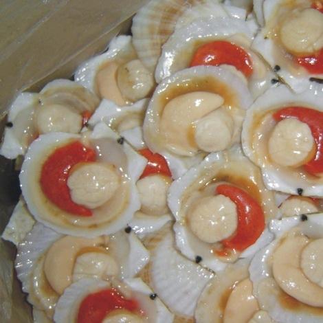 HOT SELLING High Quality Frozen Half Shell Scallop