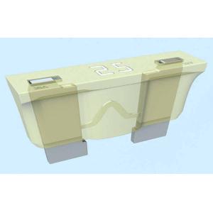 Buy cheap 100 Amp Auto Blade Fuse product
