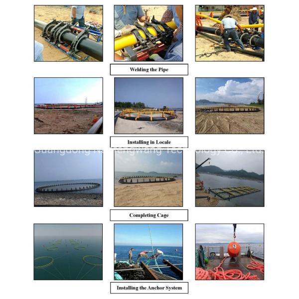 Customization Fishing Trap Aquaculture Net Cage for Crab Lobster Shrimp by Nangfengwang