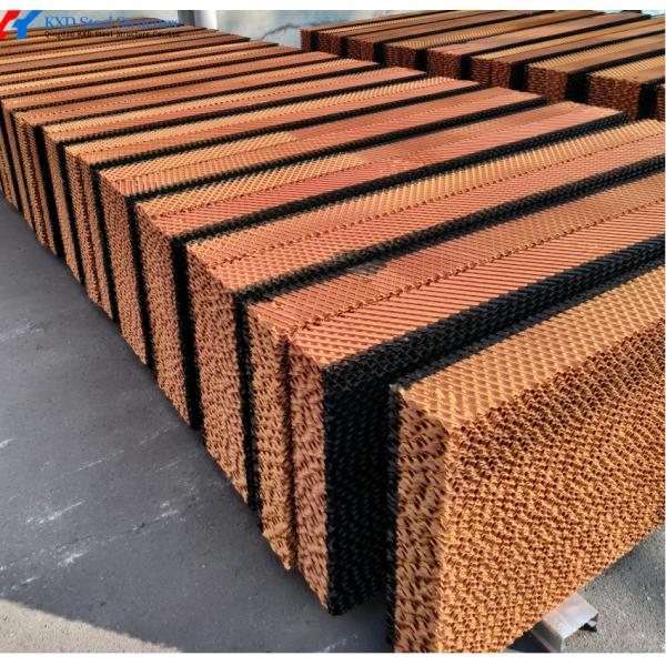 Steel Chicken Layer Cages A Type H Type Automated Battery Cage