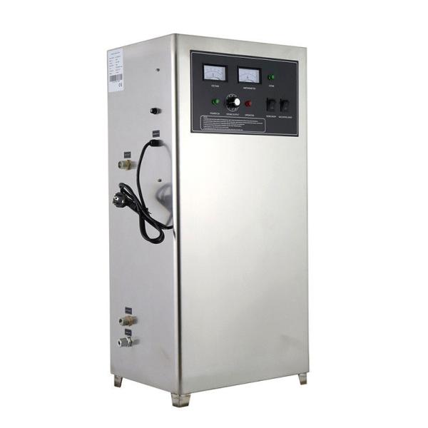 Water Treatment Ozone Generator 3G 10G with Intelligent Control Panel and Reverse Osmosis Filter