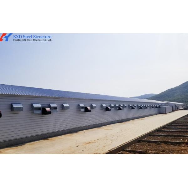 Hot-dip Galvanized Automatic Broiler Chicken Cage System with Adjustable Vents and Corrosion Resistant Design