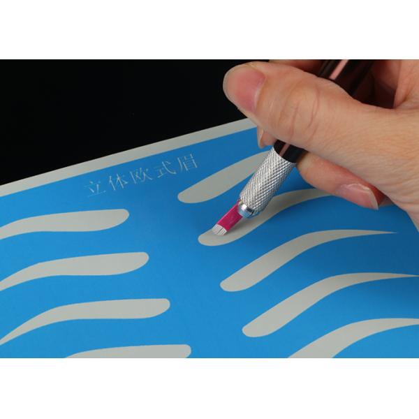 Blue Permanent Makeup Practice Skin Rubber Training Goods For Beginner