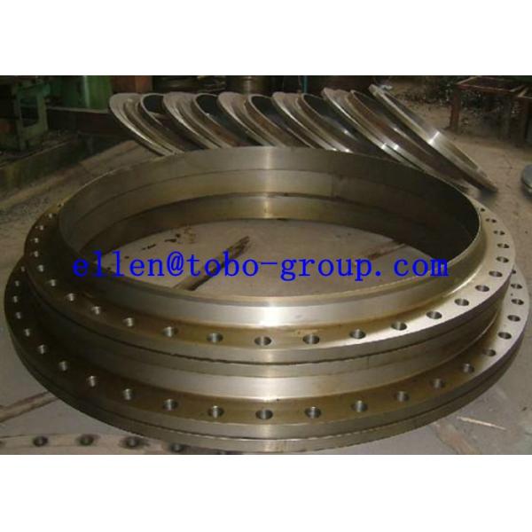 TOBO GROUP AISI SAE 8630 Weld Neck Flange