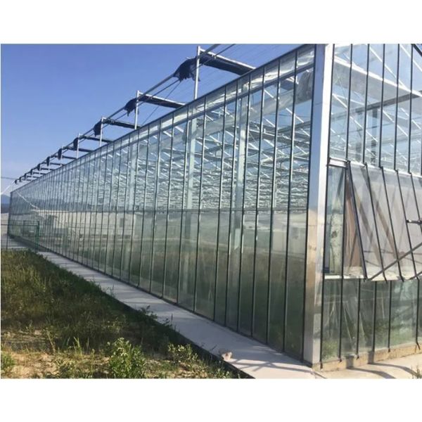 Hot-dip Galvanized Steel Greenhouse for Vegetable Farming with Customizable Span and Integrated Environmental Control