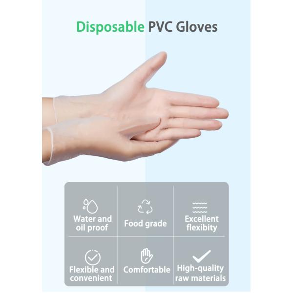 Powder Free Disposable Vinyl Gloves Pvc Disposable Gloves