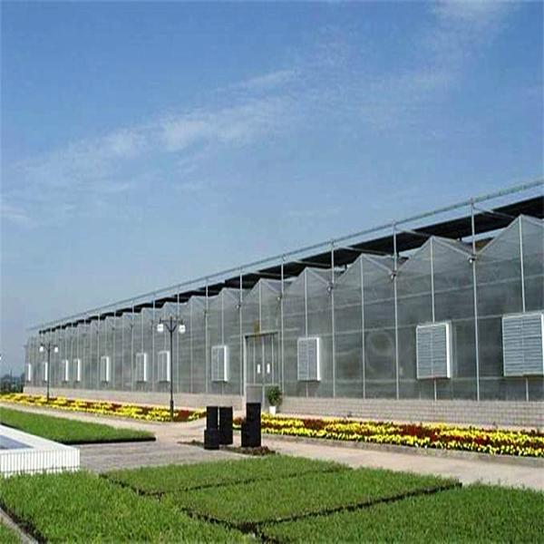 Water Saving Commercial Hydroponic Greenhouse Easy Manage Without Regional Restrictions