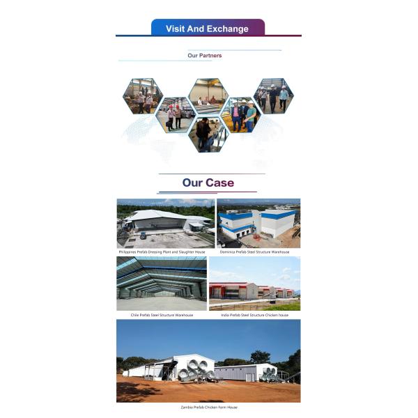 Wind Resistant Steel Structure Building Cow Shed Cattle Farm Construction OEM Size