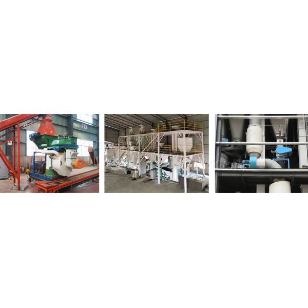 Vertical Ring Die Bio-Fertilizer Machine for High-Density Pellet Production