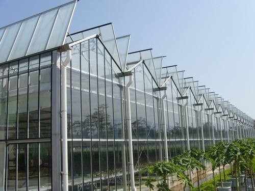 Mulit Span Commercial Glass Greenhouse Venlo Shape Span Width 9.6 / 10.8 / 12m