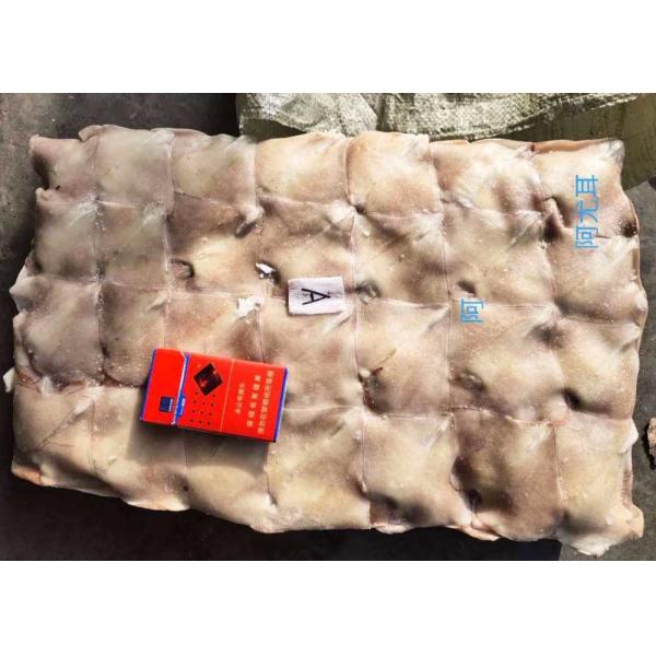 Block Frozen Illex Squid Wing / Argentina Squid Gmp Certification