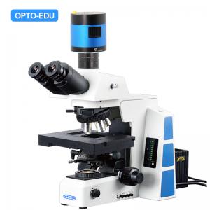 China Opto Edu M12.5850 Biological Motorized Microscope Bf Xyz on sale