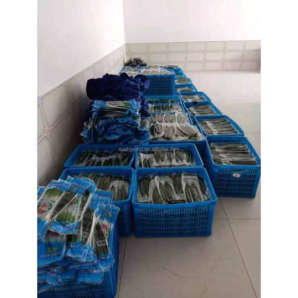 Vacuum-Packed Sushi Fresh Bamboo Hoba Leaf Leaves