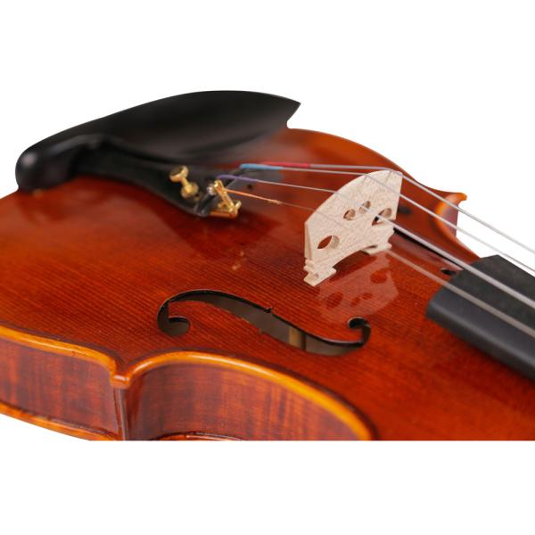 Violin china play Beethoven Violin Sonata No.5 Universal Violin Accessories Professional Use Classical Box For Violin
