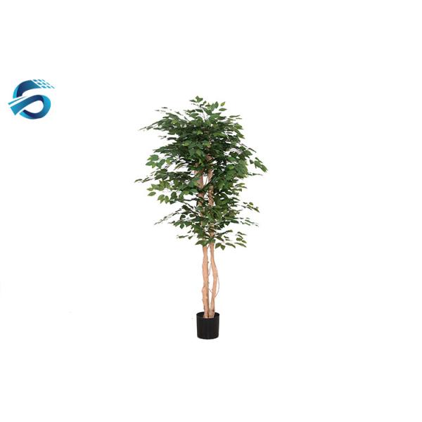 Imitation Ficus Bonsai Tree , Artificial Outdoor Plants Last For 2 Yrs