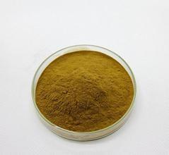 Buy cheap Horse chestnut extract,Aesculus chinesis bge. Esicin 20%,98% product