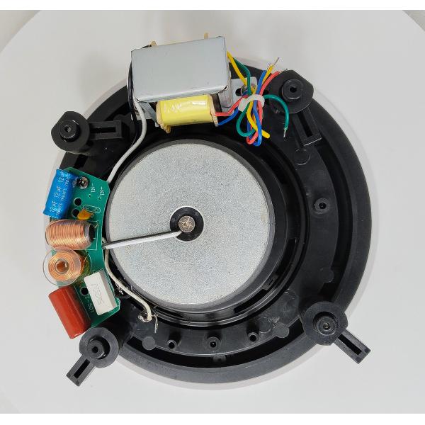 40W Two Way 8 Inch Coaxial Ceiling Speaker ABS Sound PA System Speaker