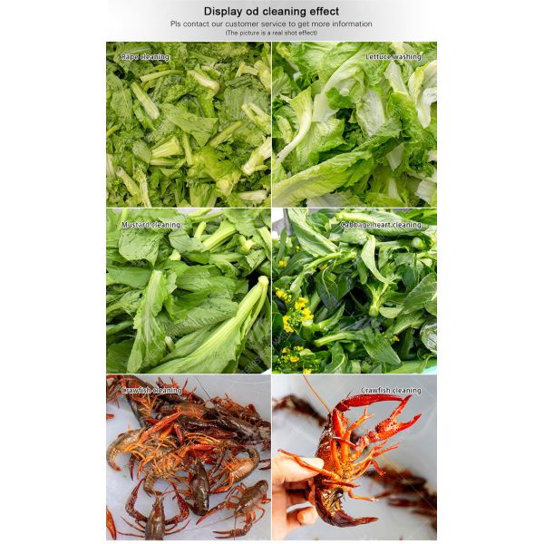 2.6KW Impurity Filter Fruit And Vegetable Washing Machine Citrus Apple