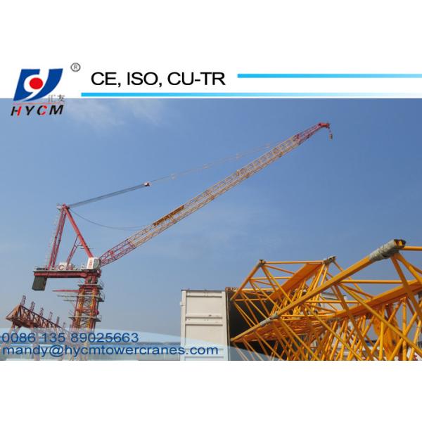 1250KN.m Rated Lifting Moment 50m Tower Crane Boom Length Fixed Jib Crane D5020 Luffing Boom Crane