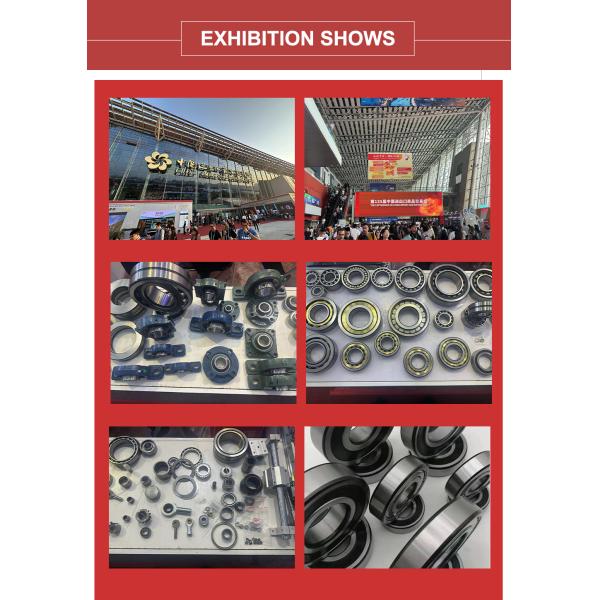 61813 Thin Wall Angular Contact Ball Bearings Zz Low Noise Series Deep Groove Ball Bearing Customized Non-Standard