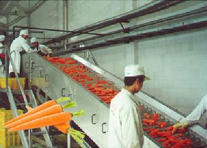 Buy cheap Professional Carrot Processing Plant  / Fruit And Vegetable Processing Equipment product
