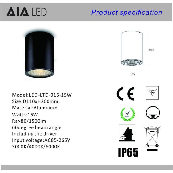 15W surface mounted downlight&ip65 downlight&exterior led downlight for gallery