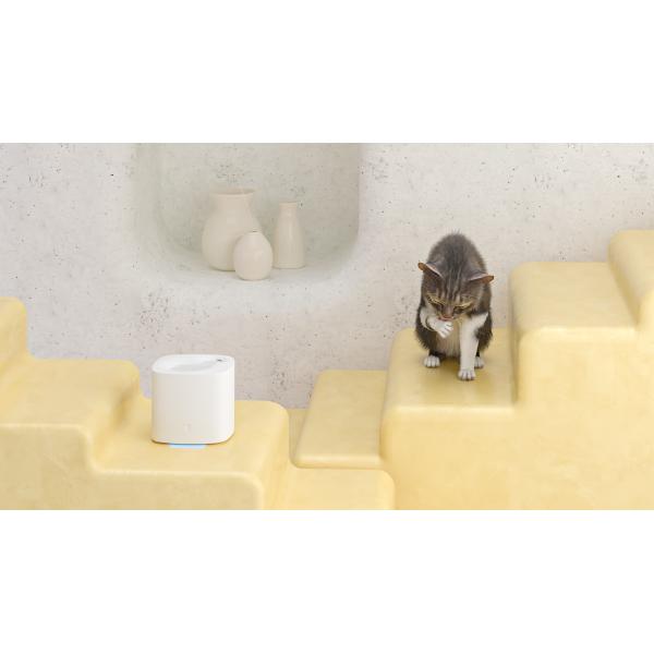 Intelligent Control Safe Pet Appliance 2L Water Tank Capacity Pets Water Dispenser