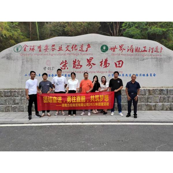 ODM PN16 Electric Motorized Valve Ductile Iron Butterfly Valve Flange Connection