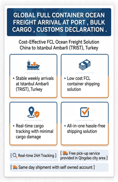 Cost-Effective FCL Ocean Freight with 24/7 Multilingual Support and 30-45 Days Transit to Istanbul
