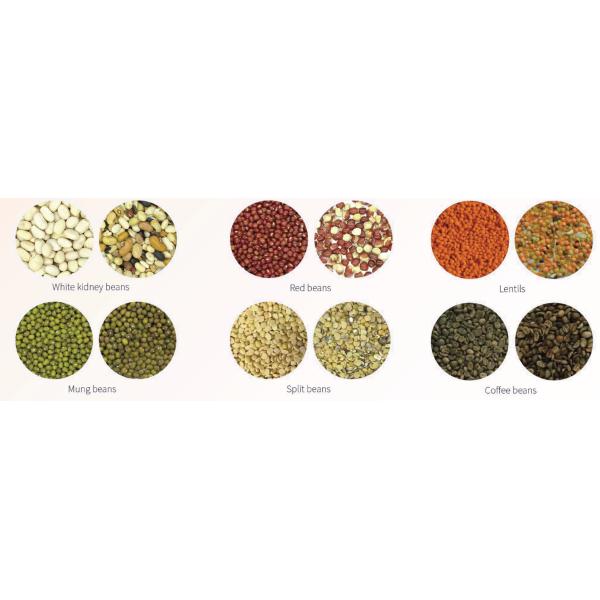 Mung Beans 512 Ejectors Optical CCD Color Sorter