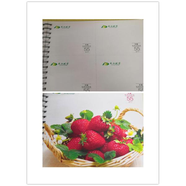 HI-KOTE C2S Art Paper The Perfect Combination of and Customization for Writing