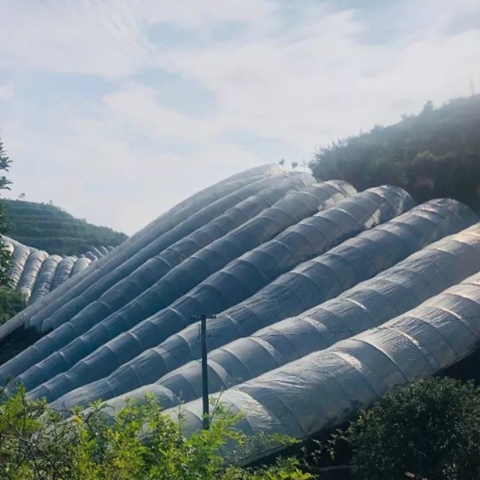 3m Width HDPE Garden Netting Providing Protection for Vegetables Fruits and Flowers