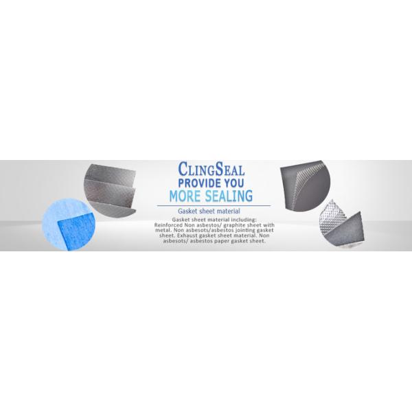 Double Metal Reinfoced Exhaust Gasket Sheet with Graphite Insert