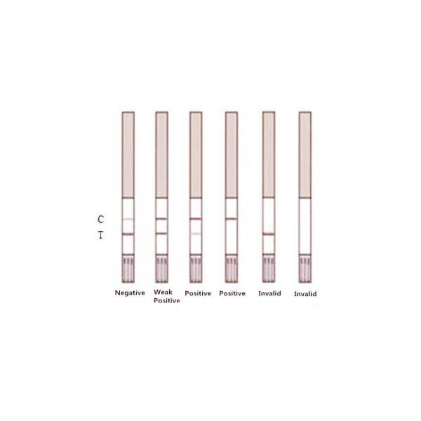 0.5ppb Sensitivity Mycotoxin Test Strips For Fresh Milk Powder Aflatoxin M1 Rapid Test Kit