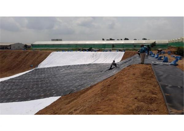 Plastic Tank Liner Hdpe Geomembrane Sheet For Fish Farm
