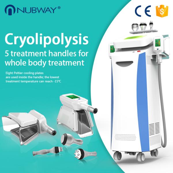 CE/ FDA approved Cool sculpting salon beauty  fat reduction/ fat freezing cryolipolysis weight loss machine