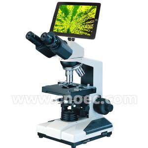 China WF10X University Student 9.7 Biological Compound Microscope 40x - 1000x A33.0209 + A59.3503 on sale