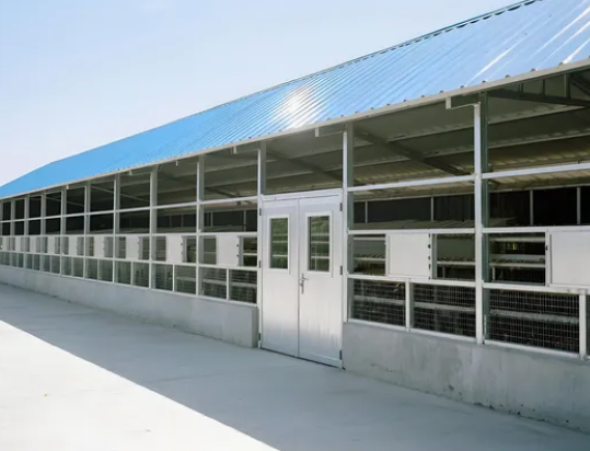 4 Tier H Type Fully Automatic Battery Layer Chicken Cage with Galvanized Steel Poultry Farming Equipment