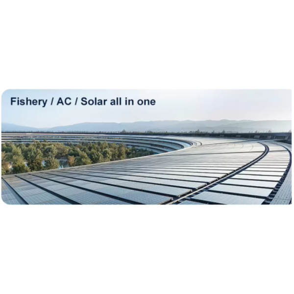 Movable Lithium Battery Pack Home Energy Storage Battery System Customized Solutions Wall Mounted 15kwh 310ah Lifepo4 Grade A Solar