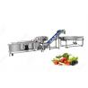 Buy cheap 380V CE Certified Stainless Steel Commercial Fruit And Vegetable Washing from wholesalers