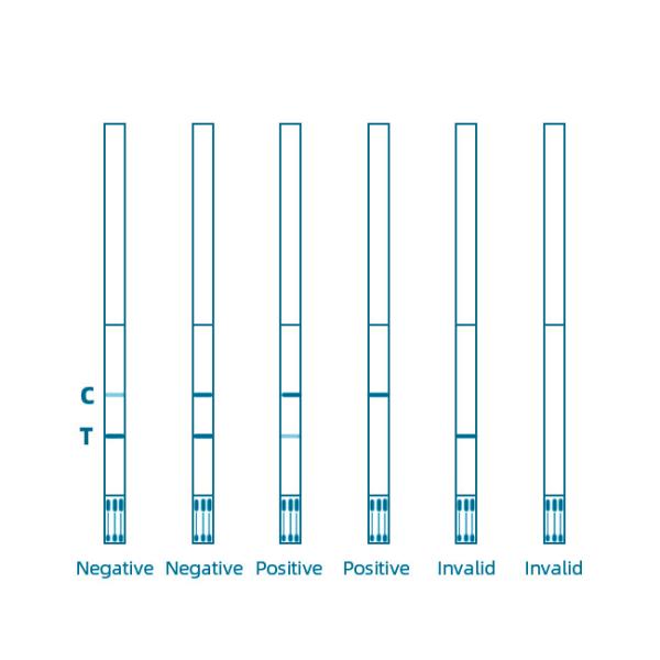 Zearalenone Toxin Rapid Mycotoxin Testing Kits 10min For Corn Wheat 1500pbb
