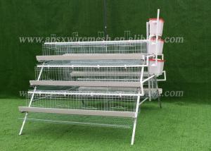 China Long Service Life Hot Galvanized Layers Chicken Cages For Poultry Farming Building on sale