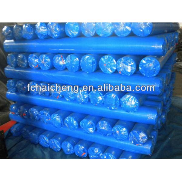 clear poly tarp polyethylene tarpaulin used for green house