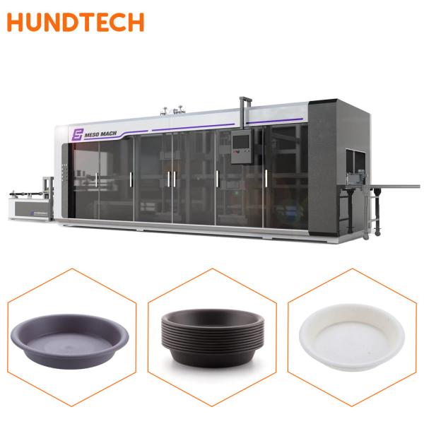 Disposable Food Tray Lid Pressure Thermoforming Machine 600mm Width