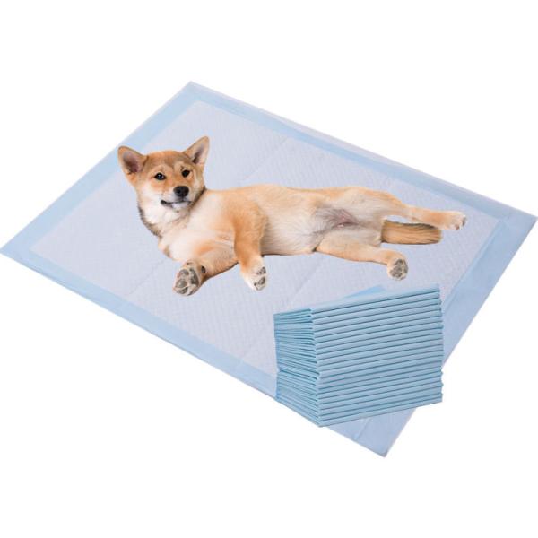 Customizable Degradable Pet Training Pads for Dogs Cats