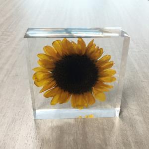 Buy cheap Low MOQ Custom Shapes Sizes paper weight Crafts For Decoration custom resin weightpaper scale flower inside acrylic paper weight product