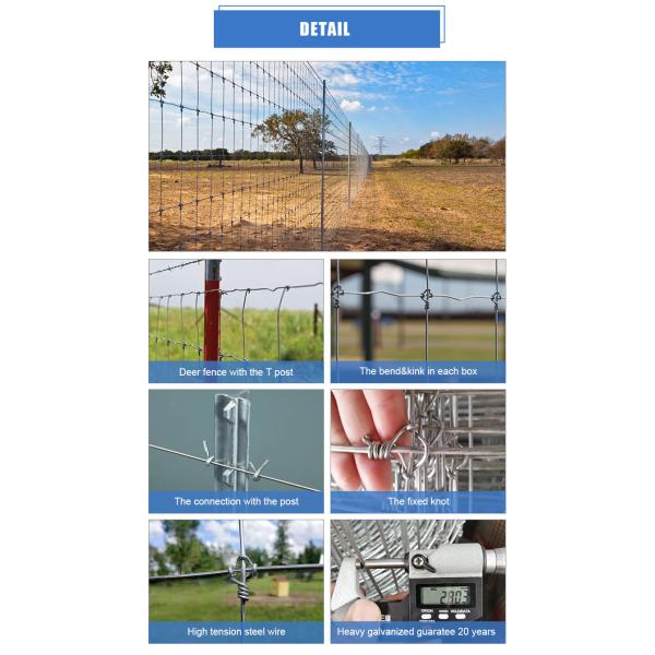 wholesale cattle/sheep/farm/field/deer wire mesh fence galvanized grassland fence