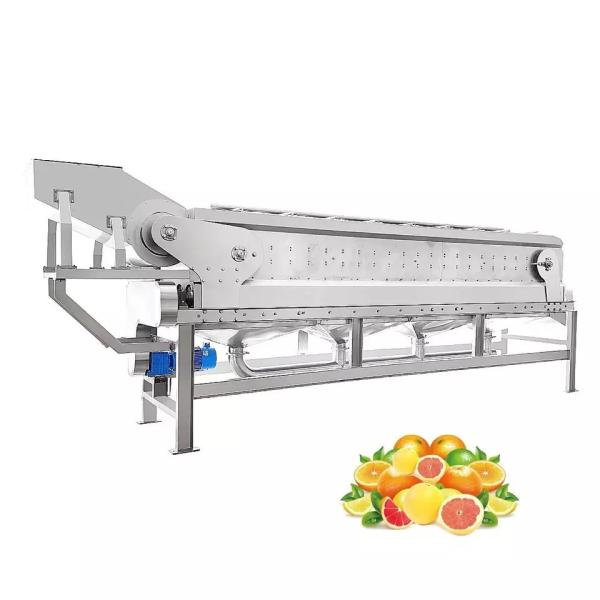 All Automatic Customizable Orange Juice Machine New Juice Processing Machine Complete Fruit Processing Machine Tangerine Pulp